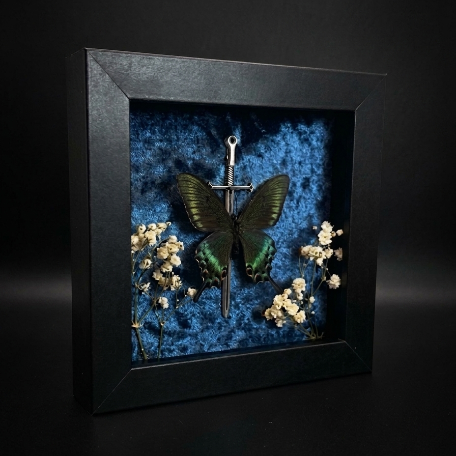 Framed Papilio bianor (Chinese Peacock Butterfly)