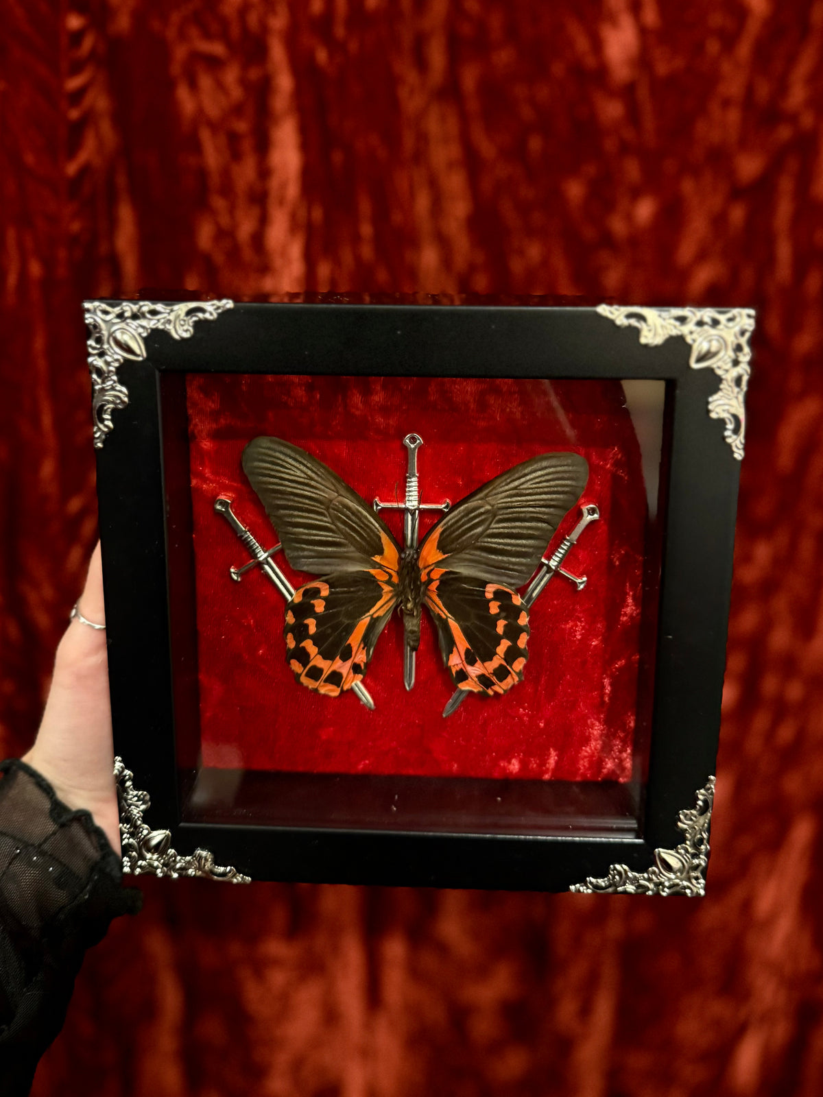 Scarlet Mormon
