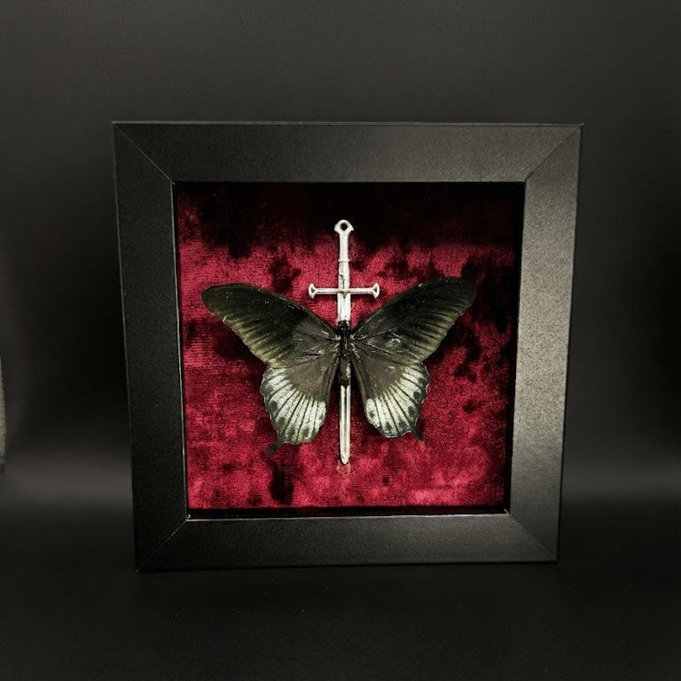 Framed Papilio Lowi