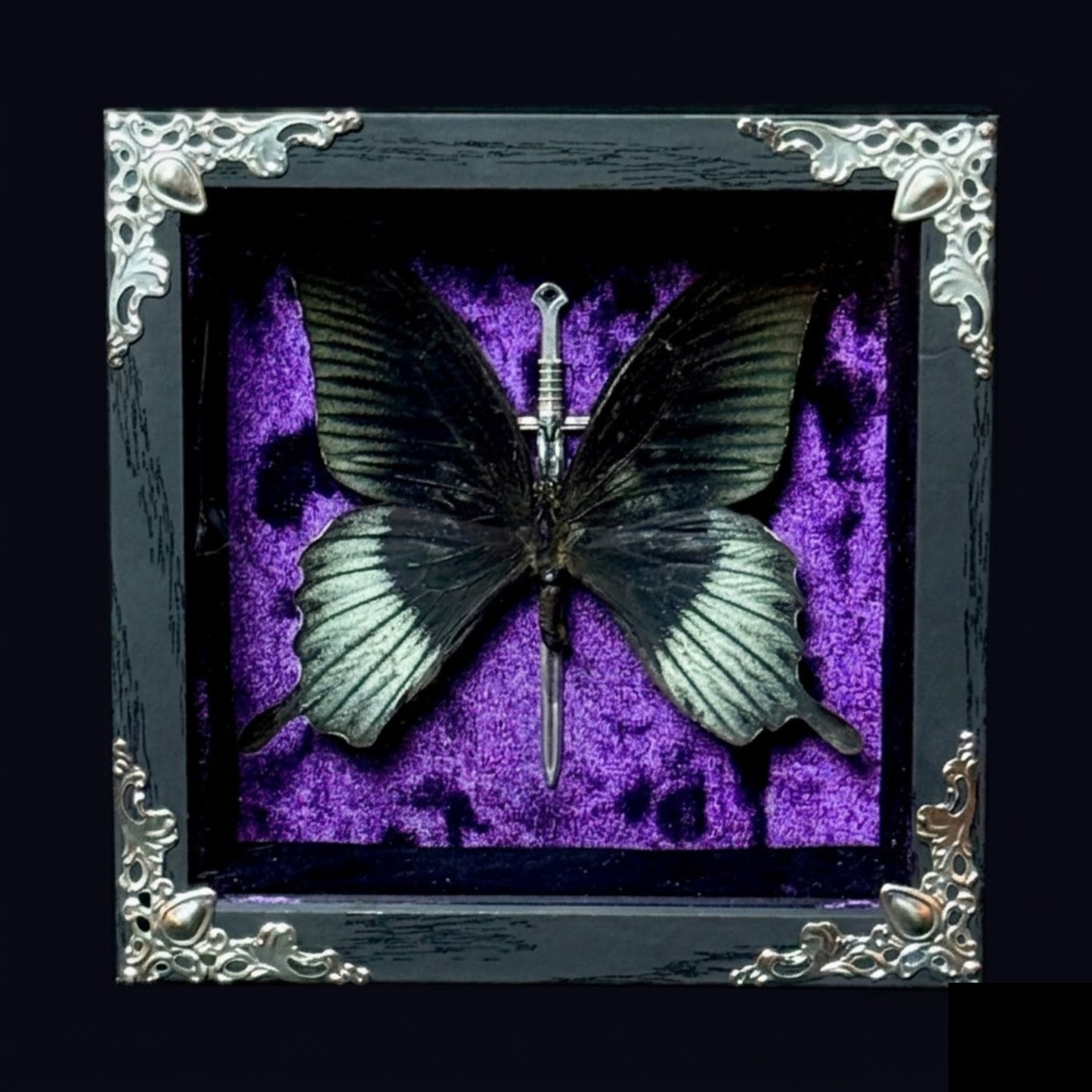 Framed Papilio Lowi (Great Yellow Morman)