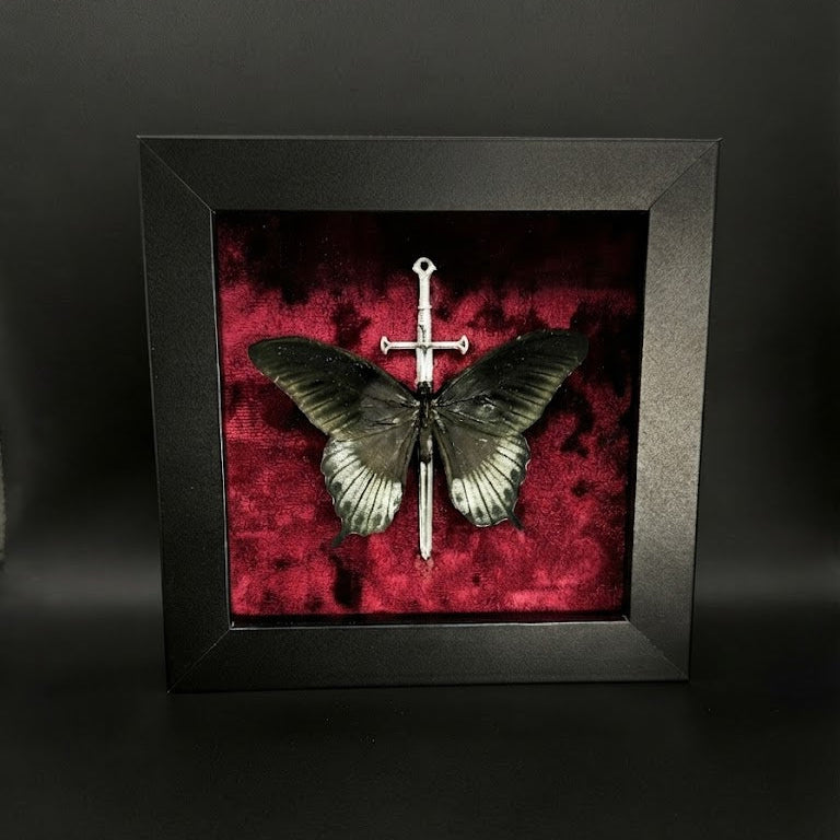 Framed Papilio Lowi