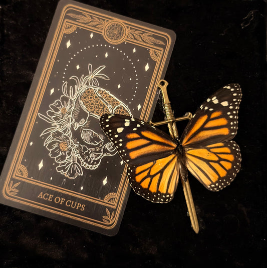 Framed Tarot Monarch Butterfly