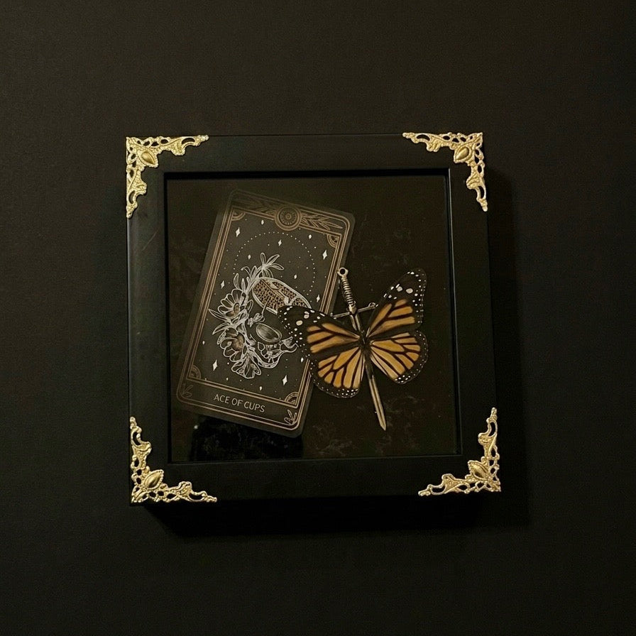 Framed Tarot Monarch Butterfly