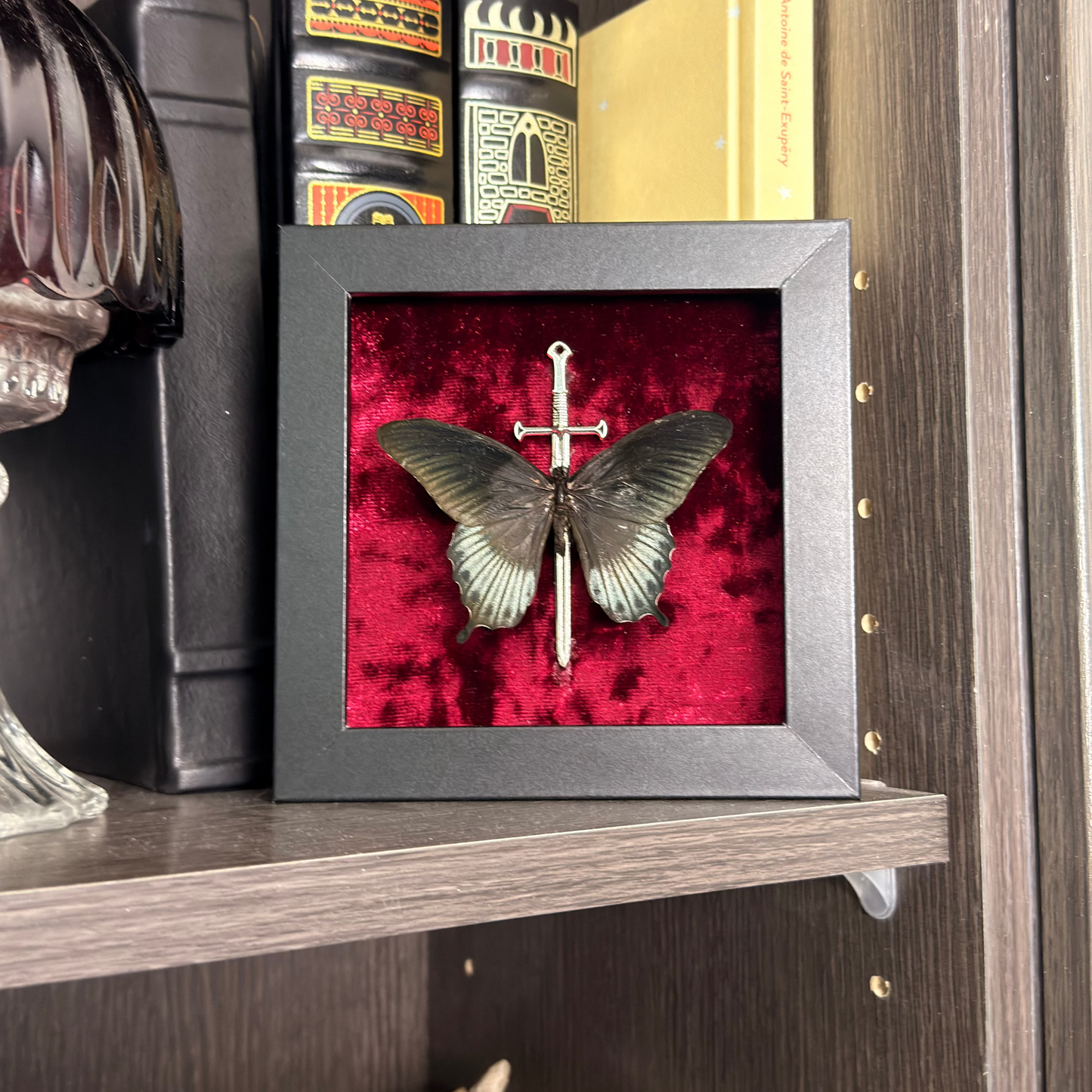Framed Papilio Lowi