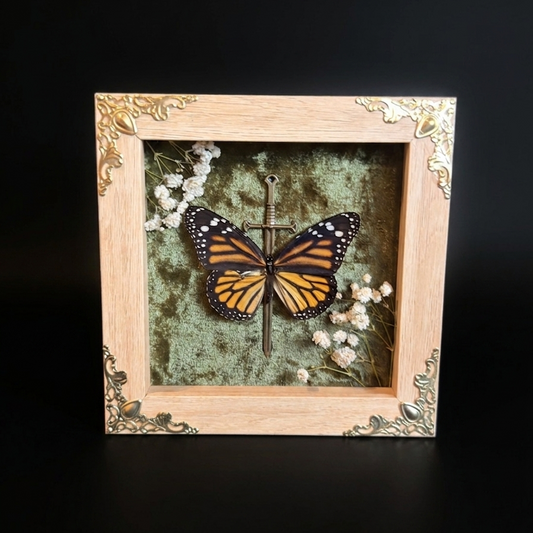 Framed Monarch Butterfly (Danaus plexippus)