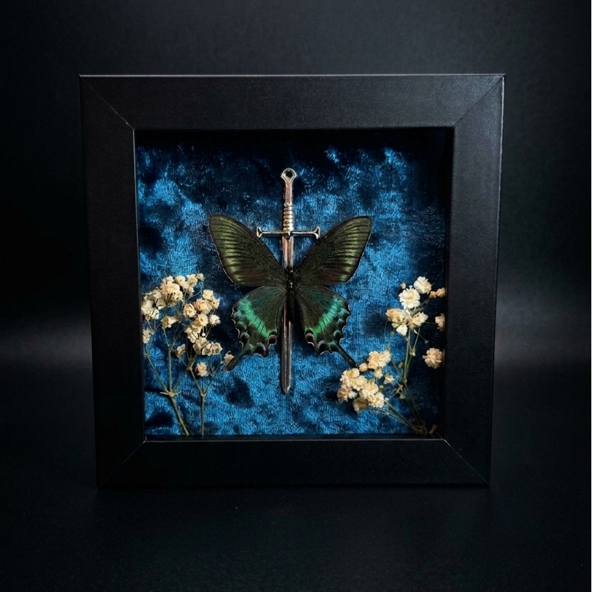 Framed Papilio bianor (Chinese Peacock Butterfly)