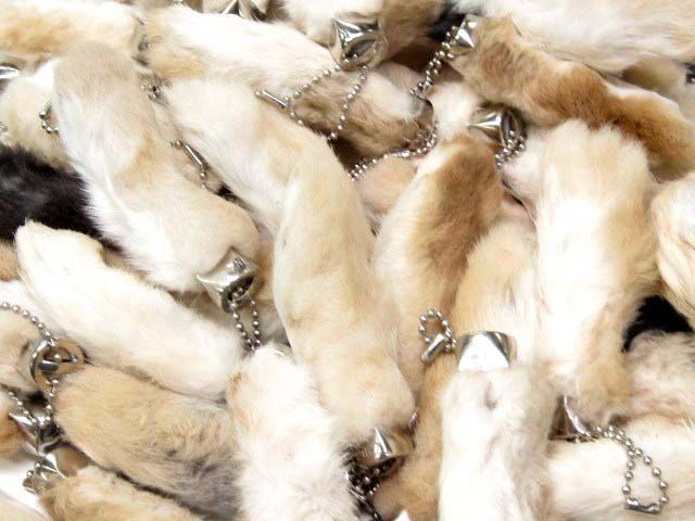 Lucky Rabbits Foot Keychain